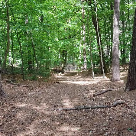 6 Person In Oksbol-by Traum Dom wakacyjny