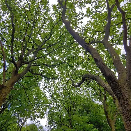 6 Person In Oksbol-by Traum Dom wakacyjny *