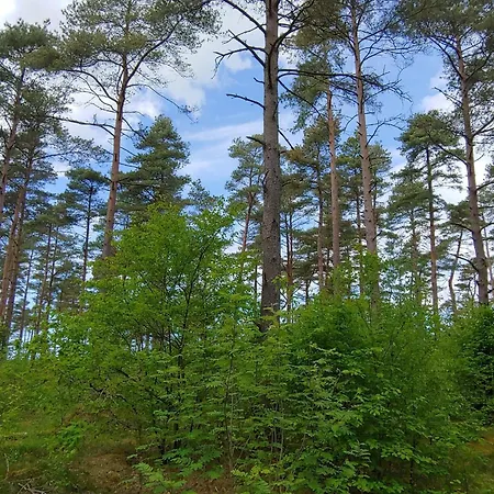 6 Person In Oksbol-by Traum Dom wakacyjny Oksbøl