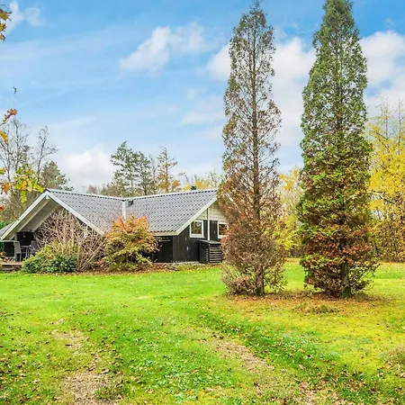 Dom wakacyjny 6 Person In Oksbol-by Traum *