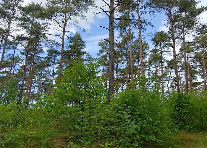 6 Person In Oksbol-by Traum Casa vacanze Oksbøl